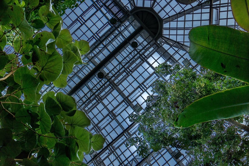 Ceiling Gardens