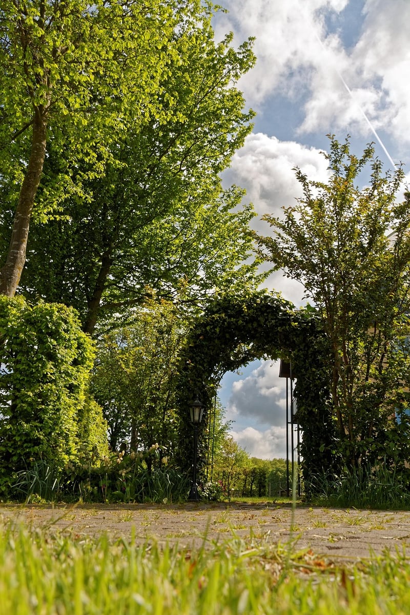 Trellis with Climbing Roses