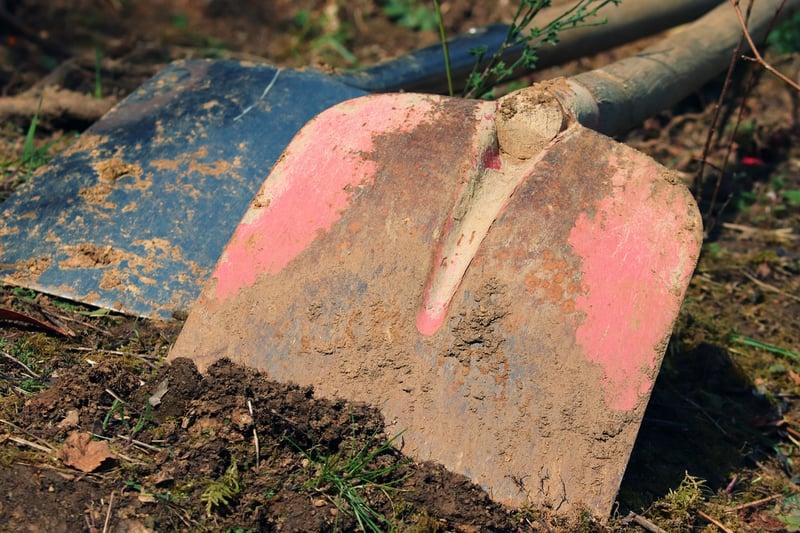Gardening Image
